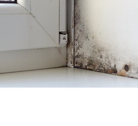 concrete remediation